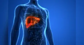 A doença ocorre quando há acúmulo excessivo de gordura nas células hepáticas, geralmente desencadeado por obesidade