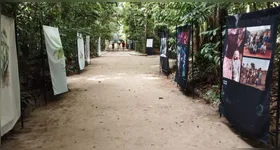 A exposição também integra a programação da COP 30, destacando a conexão entre arte, cultura e preservação ambiental.