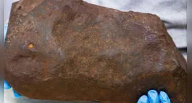 Grande e marrom-avermelhada, ainda coberta por um pouco de argila, a pedra chamou a atenção do homem, que logo percebeu que tinha encontrado algo especial.