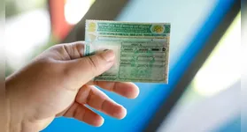 Nova norma será válida assim que for publicada no Diário Oficial da União.