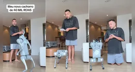 Além do robô "cachorro", Lucas possui um robô humanoide avaliado em R$ 300 mil.