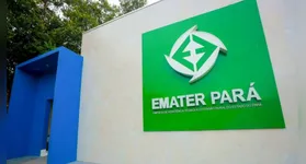 São vagas para três regiões do Pará