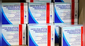 Imunizante chegou ao Pará e já será repassado aos municípios