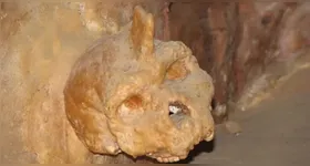 Segundo o 'Live Science', a pesquisa não apenas esclarece a idade fóssil do crânio, como também ressalta o papel do Homo heidelbergensis como um elo crucial na evolução humana.