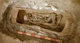 Imagem ilustrativa da notícia Tumba de 2,6 mil anos de "guerreiro cita" é descoberta