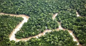 A redução histórica de 90,5% nos focos de incêndio florestal no Pará reflete os esforços do Programa Pará Sem Fogo e ações integradas de combate e prevenção.