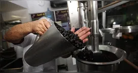 Nova lei garante mais segurança e dignidade para os batedores artesanais de açaí no Pará, preservando a qualidade do produto e a cultura local.