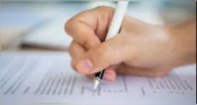 Concursos públicos abertos: confira diversas oportunidades e comece sua preparação.