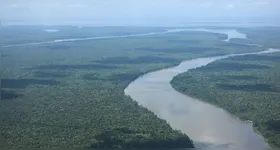 Menor índice de alertas de desmatamento em agosto evidencia avanços nas políticas ambientais do Pará.