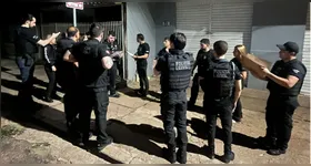 Agentes da Polícia Civil do Pará atuaram em apoio à operação “Specchio”, que mirou uma quadrilha especializada em fraudes eletrônicas, falsificação de documentos e lavagem de dinheiro.