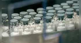 Imagem ilustrativa da notícia Vacina contra a dengue do Butantan será aplicada em janeiro