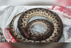 Os bombeiros foram acionados para atender à ocorrência e encaminharam o ferido a um hospital da região.