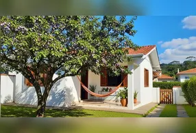 Ameixeira: a árvore perfeita para espaços pequenos