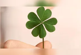 Leão, Sagitário e Libra entram em uma maré de sorte em novembro, dizem astrólogos