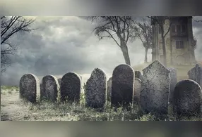 Imagens do momento viralizaram nas redes sociais