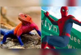 Lagarto Homem-Aranha