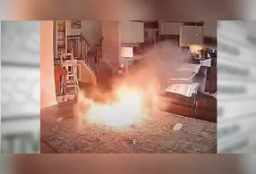 Ao perceber o fogo se espalhando, o cachorro fica assustado e tenta fugir, indo para outro cômodo da residência.