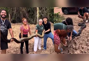 UFPA resgata sucuri grávida de 4,5m em Belém, destacando a importância da conservação da biodiversidade e educação ambiental na universidade.