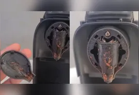 Vídeo gravado em uma assistência técnica mostra o interior de uma cafeteira de cápsula completamente tomado por larvas.