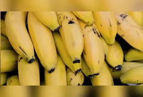 Técnica promete controlar os principais fatores que aceleram o amadurecimento da fruta.