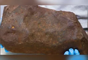 Grande e marrom-avermelhada, ainda coberta por um pouco de argila, a pedra chamou a atenção do homem, que logo percebeu que tinha encontrado algo especial.