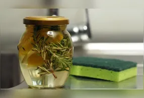 A solução também é recomendada para eliminar mosquitos.