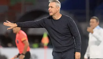 Imagem ilustrativa da imagem Remo: negociação com Tiago Nunes segue travada; entenda