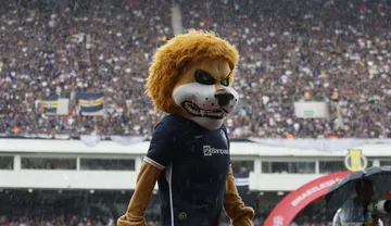 Imagem ilustrativa da imagem Remo na Série A: veja todas as mudanças no calendário do Brasileirão 2026