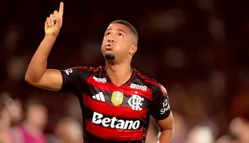 Imagem ilustrativa da imagem Flamengo bate Ceará e sacramenta título do Brasileirão 2025