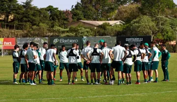 Imagem ilustrativa da imagem Presidente da Chape se revolta com foguetório em frente ao hotel