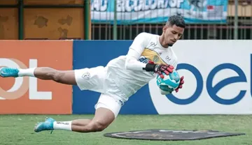 Imagem ilustrativa da imagem Paysandu empresta goleiro Matheus Nogueira ao São Bernardo para 2026
