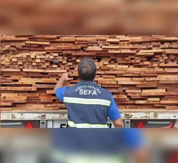 Imagem ilustrativa da imagem Sefa apreende carga irregular de madeira na divisa entre Pará e Maranhão