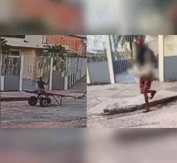 Imagem ilustrativa da imagem Vídeo: homem ataca cachorro com pedrada em Icoaraci
