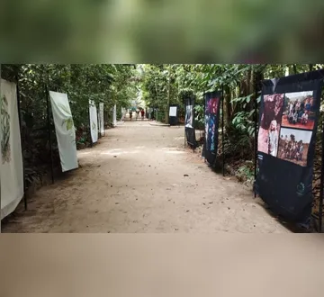 Imagem ilustrativa da imagem Exposição no Bosque Rodrigues Alves encanta visitantes&nbsp;