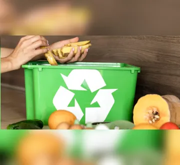 Imagem ilustrativa da imagem Belém ganha UVR e Central Pública de Reciclagem de Orgânicos