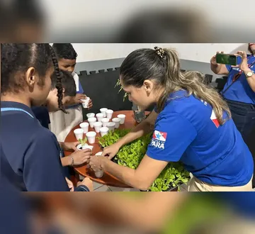 Imagem ilustrativa da imagem Pará recebe premiação por avanços na redução da insegurança alimentar