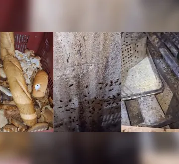 Imagem ilustrativa da imagem Padaria é interditada em Belém por infestação de baratas