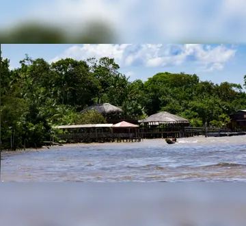 Imagem ilustrativa da imagem Casas ecológicas em ilha de Belém serão feitas com tijolos de açaí