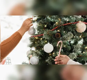 Imagem ilustrativa da imagem Quando montar a árvore de Natal? Veja o que a tradição diz