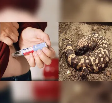 Imagem ilustrativa da imagem Questão do Enem com o 'lagarto do Ozempic' viraliza; entenda