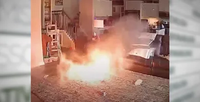 Imagem ilustrativa da imagem Cachorro mastiga bateria de íon-lítio e provoca incêndio em casa nos EUA