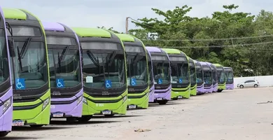 Imagem ilustrativa da imagem Sistema de ônibus gratuito da COP30 encerra operações