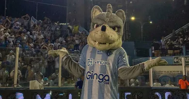 Imagem ilustrativa da notícia: Paysandu pode decidir dois rebaixamentos após cair para Série C