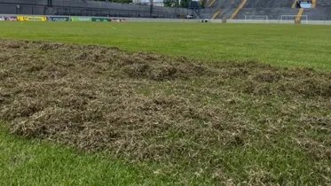 Imagem ilustrativa da notícia: Remo: Baenão passa por revitalização no gramado para 2026