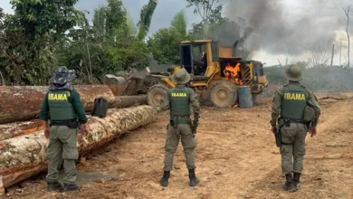 A seleção oferece 60 vagas temporárias para profissionais de nível superior, além de cadastro reserva. As remunerações podem chegar a R$ 11.036,23.