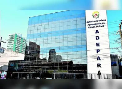 Adepará com oito vagas por meio de PSS