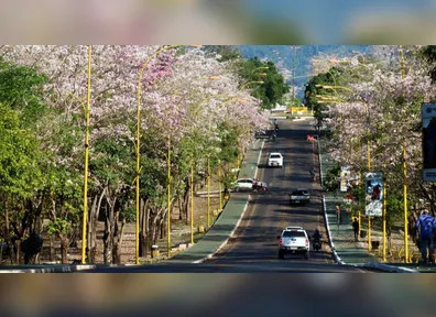 PSS oferta mais de mil vagas e com bons salários