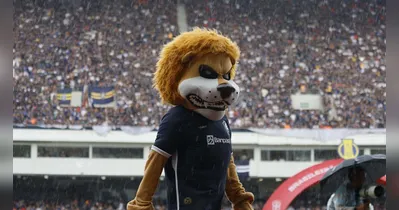 Clube do Remo estará na Série A em 2026, ano em que haverá grandes mudanças no calendário da competição.