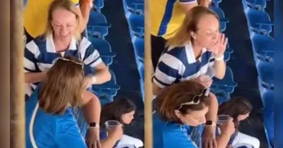 A torcedora xingadora entrou no radar do MPSC