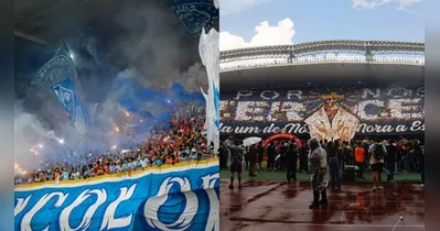 Paysandu lidera em seguidores na região Norte, enquanto Remo se destaca pelo crescimento.